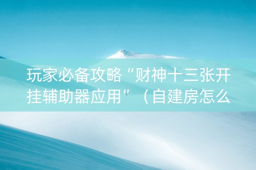 玩家必备攻略“财神十三张开挂辅助器应用”（自建房怎么赢)
