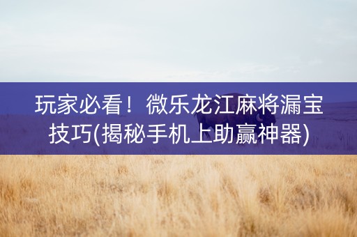 玩家必看！微乐龙江麻将漏宝技巧(揭秘手机上助赢神器)