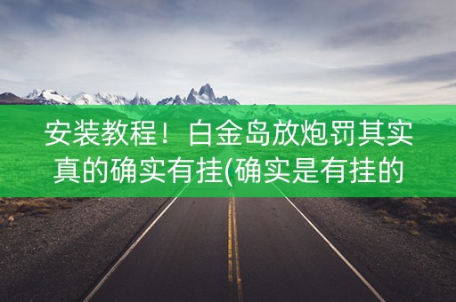 安装教程！白金岛放炮罚其实真的确实有挂(确实是有挂的)