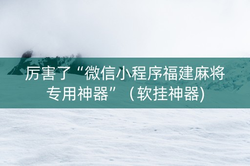 厉害了“微信小程序福建麻将专用神器”（软挂神器)