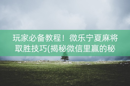 玩家必备教程！微乐宁夏麻将取胜技巧(揭秘微信里赢的秘诀)