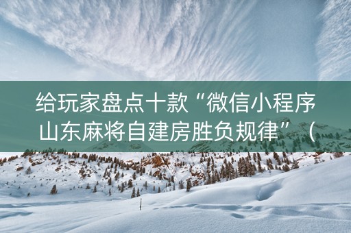 给玩家盘点十款“微信小程序山东麻将自建房胜负规律”（挂件神器)