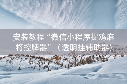 安装教程“微信小程序捉鸡麻将控牌器”（透明挂辅助器)