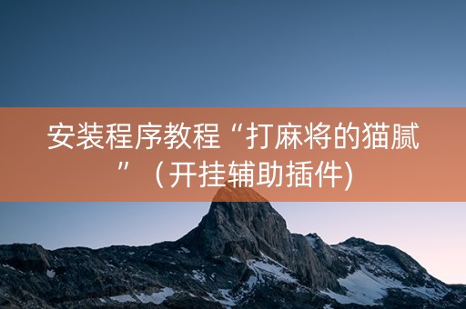 安装程序教程“打麻将的猫腻”（开挂辅助插件)