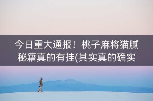 今日重大通报！桃子麻将猫腻秘籍真的有挂(其实真的确实有挂)
