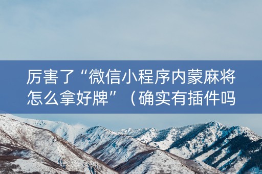 厉害了“微信小程序内蒙麻将怎么拿好牌”（确实有插件吗)