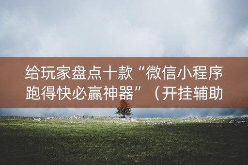 给玩家盘点十款“微信小程序跑得快必赢神器”（开挂辅助插件)