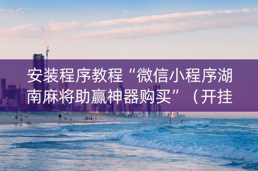 安装程序教程“微信小程序湖南麻将助赢神器购买”（开挂辅助插件)
