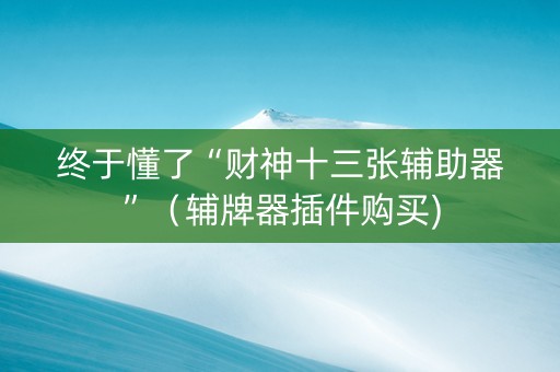 终于懂了“财神十三张辅助器”（辅牌器插件购买)