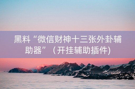 黑料“微信财神十三张外卦辅助器”（开挂辅助插件)