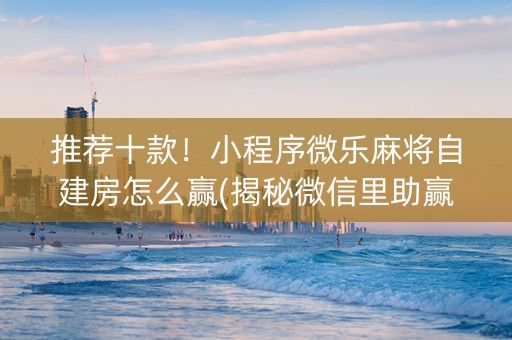 推荐十款！小程序微乐麻将自建房怎么赢(揭秘微信里助赢神器购买)