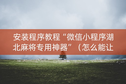 安装程序教程“微信小程序湖北麻将专用神器”（怎么能让牌好一点)