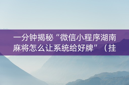 一分钟揭秘“微信小程序湖南麻将怎么让系统给好牌”（挂件神器)