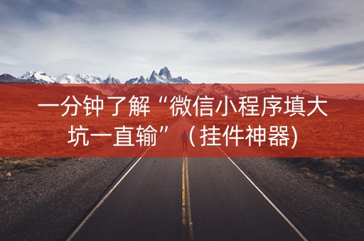 一分钟了解“微信小程序填大坑一直输”（挂件神器)