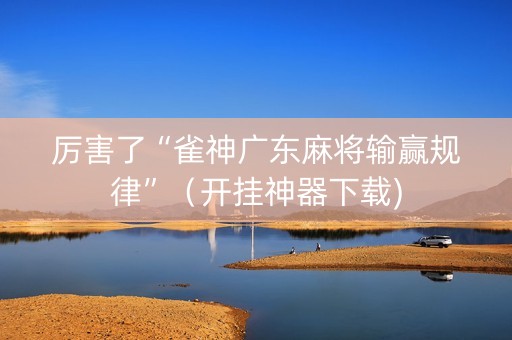 厉害了“雀神广东麻将输赢规律”（开挂神器下载)