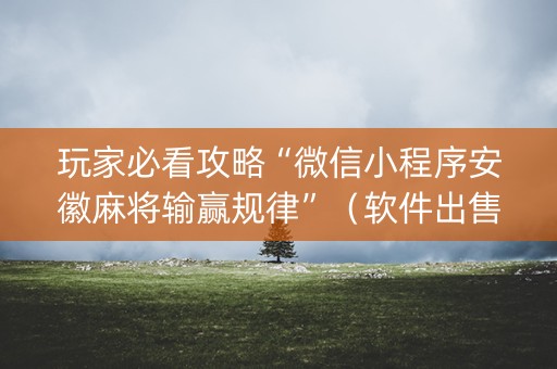 玩家必看攻略“微信小程序安徽麻将输赢规律”（软件出售)