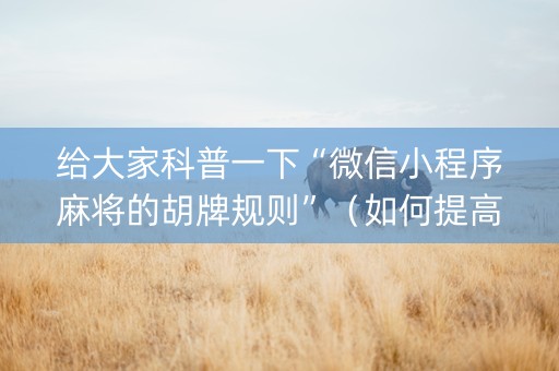 给大家科普一下“微信小程序麻将的胡牌规则”（如何提高胜率)