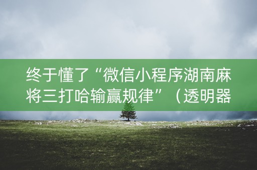 终于懂了“微信小程序湖南麻将三打哈输赢规律”（透明器教程)