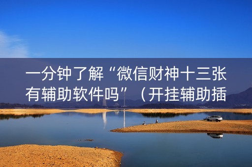一分钟了解“微信财神十三张有辅助软件吗”（开挂辅助插件)