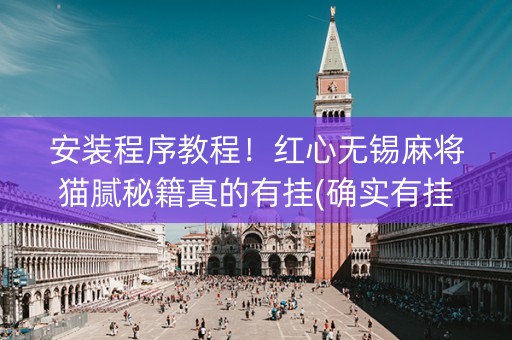 安装程序教程！红心无锡麻将猫腻秘籍真的有挂(确实有挂)