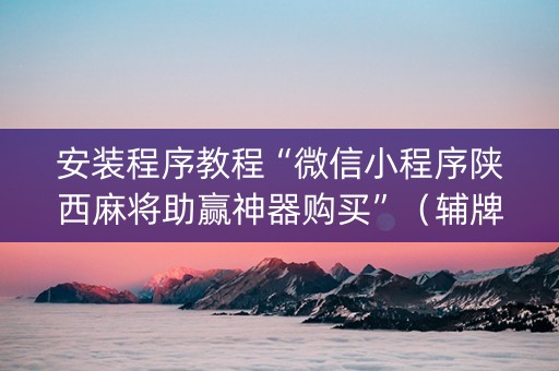 安装程序教程“微信小程序陕西麻将助赢神器购买”（辅牌器插件购买)