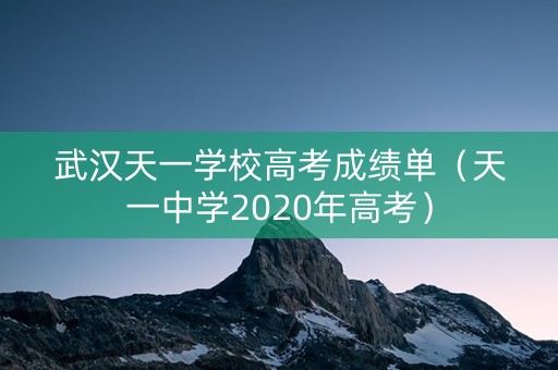 武汉天一学校高考成绩单（天一中学2020年高考）