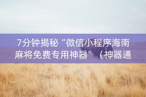 7分钟揭秘“微信小程序海南麻将免费专用神器”（神器通用版)