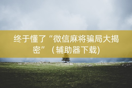 终于懂了“微信麻将骗局大揭密”（辅助器下载)