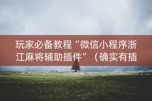 玩家必备教程“微信小程序浙江麻将辅助插件”（确实有插件吗)