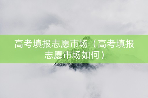 高考填报志愿市场（高考填报志愿市场如何）