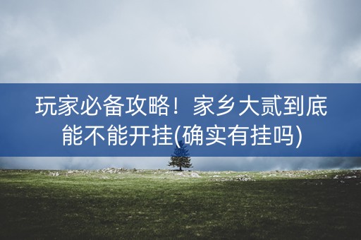 玩家必备攻略！家乡大贰到底能不能开挂(确实有挂吗)