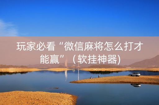 玩家必看“微信麻将怎么打才能赢”（软挂神器)