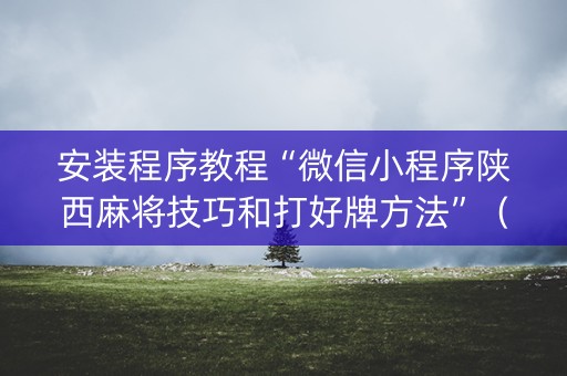 安装程序教程“微信小程序陕西麻将技巧和打好牌方法”（攻略插件)