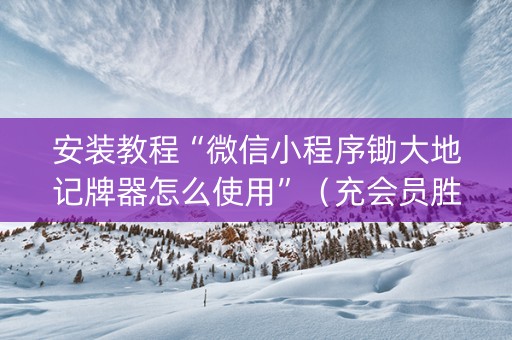 安装教程“微信小程序锄大地记牌器怎么使用”（充会员胜率高)