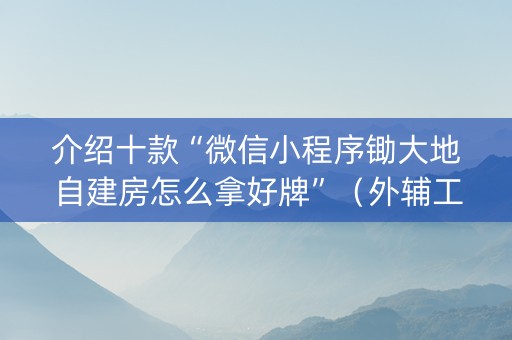 介绍十款“微信小程序锄大地自建房怎么拿好牌”（外辅工具)