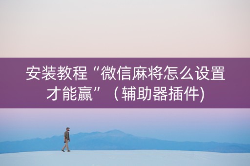 安装教程“微信麻将怎么设置才能赢”（辅助器插件)
