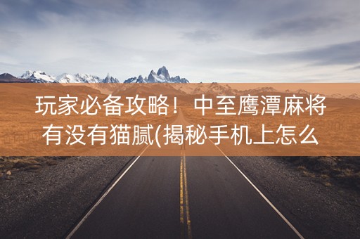 玩家必备攻略！中至鹰潭麻将有没有猫腻(揭秘手机上怎么容易赢)