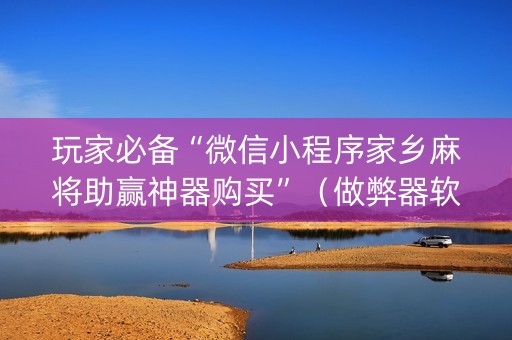 玩家必备“微信小程序家乡麻将助赢神器购买”（做弊器软件下载)