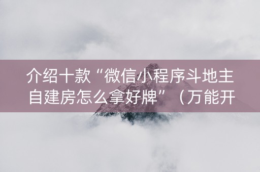介绍十款“微信小程序斗地主自建房怎么拿好牌”（万能开挂神器)