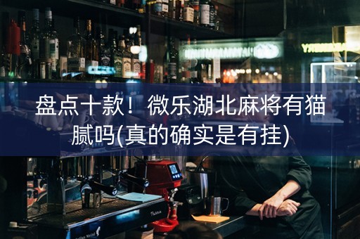 盘点十款！微乐湖北麻将有猫腻吗(真的确实是有挂)