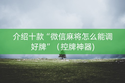 介绍十款“微信麻将怎么能调好牌”（控牌神器)