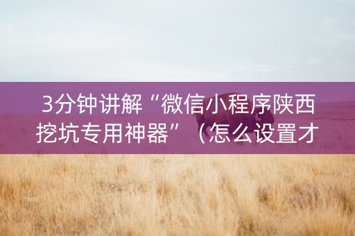3分钟讲解“微信小程序陕西挖坑专用神器”（怎么设置才能赢)