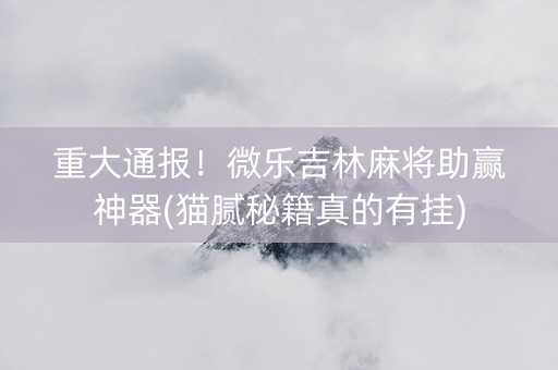 重大通报！微乐吉林麻将助赢神器(猫腻秘籍真的有挂)
