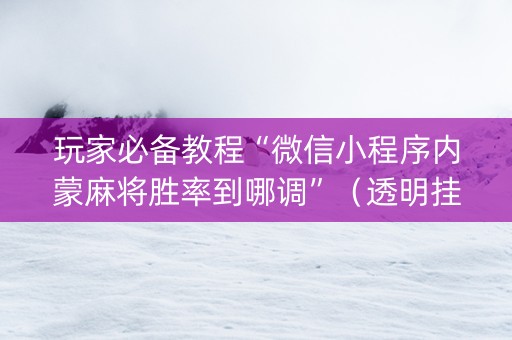 玩家必备教程“微信小程序内蒙麻将胜率到哪调”（透明挂辅助器)