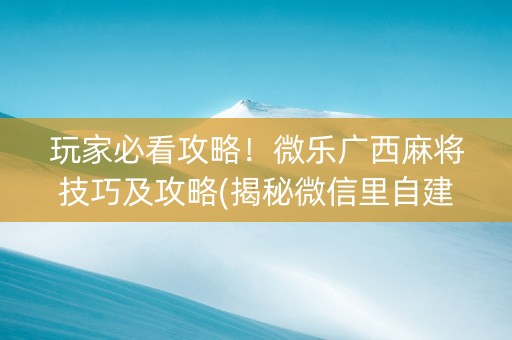 玩家必看攻略！微乐广西麻将技巧及攻略(揭秘微信里自建房怎么赢)