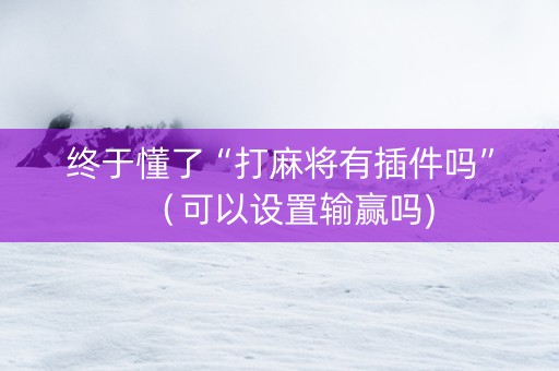 终于懂了“打麻将有插件吗”（可以设置输赢吗)