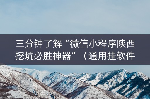 三分钟了解“微信小程序陕西挖坑必胜神器”（通用挂软件多少钱)