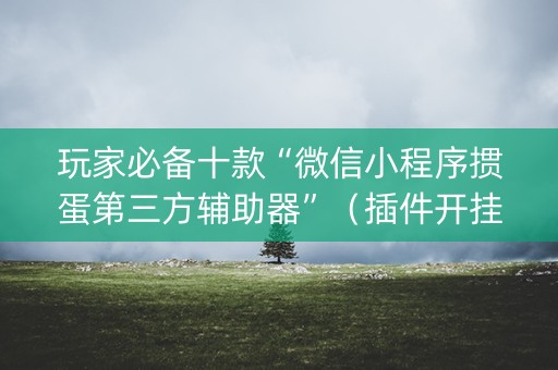 玩家必备十款“微信小程序掼蛋第三方辅助器”（插件开挂免费AI)