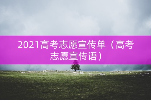 2021高考志愿宣传单（高考志愿宣传语）
