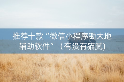 推荐十款“微信小程序锄大地辅助软件”（有没有猫腻)